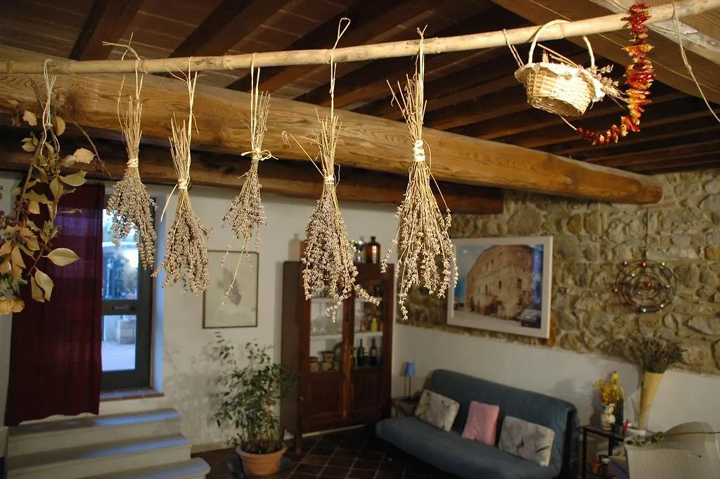 Podere Casalpiano Aparthotel Campiglia Marittima Italia
